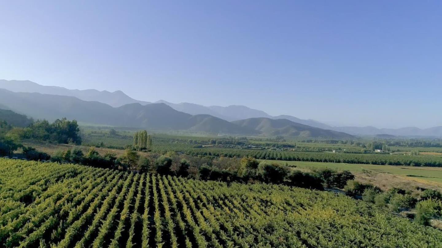 Vina Lof - Maipo Valley Bed & Breakfast In Winery Paine Екстер'єр фото