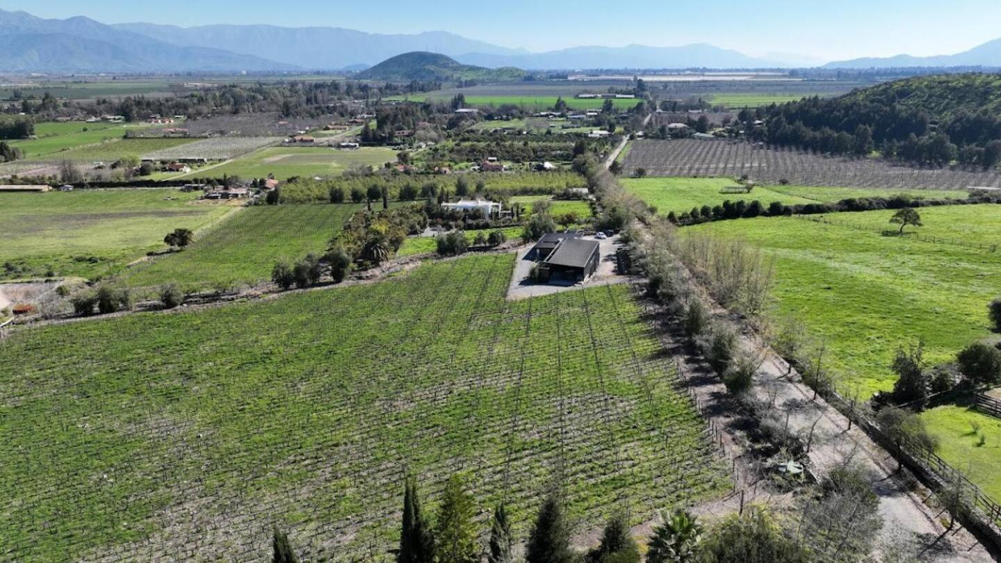 Vina Lof - Maipo Valley Bed & Breakfast In Winery Paine Екстер'єр фото