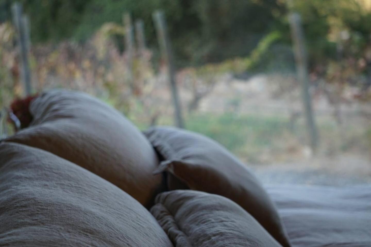 Vina Lof - Maipo Valley Bed & Breakfast In Winery Paine Екстер'єр фото
