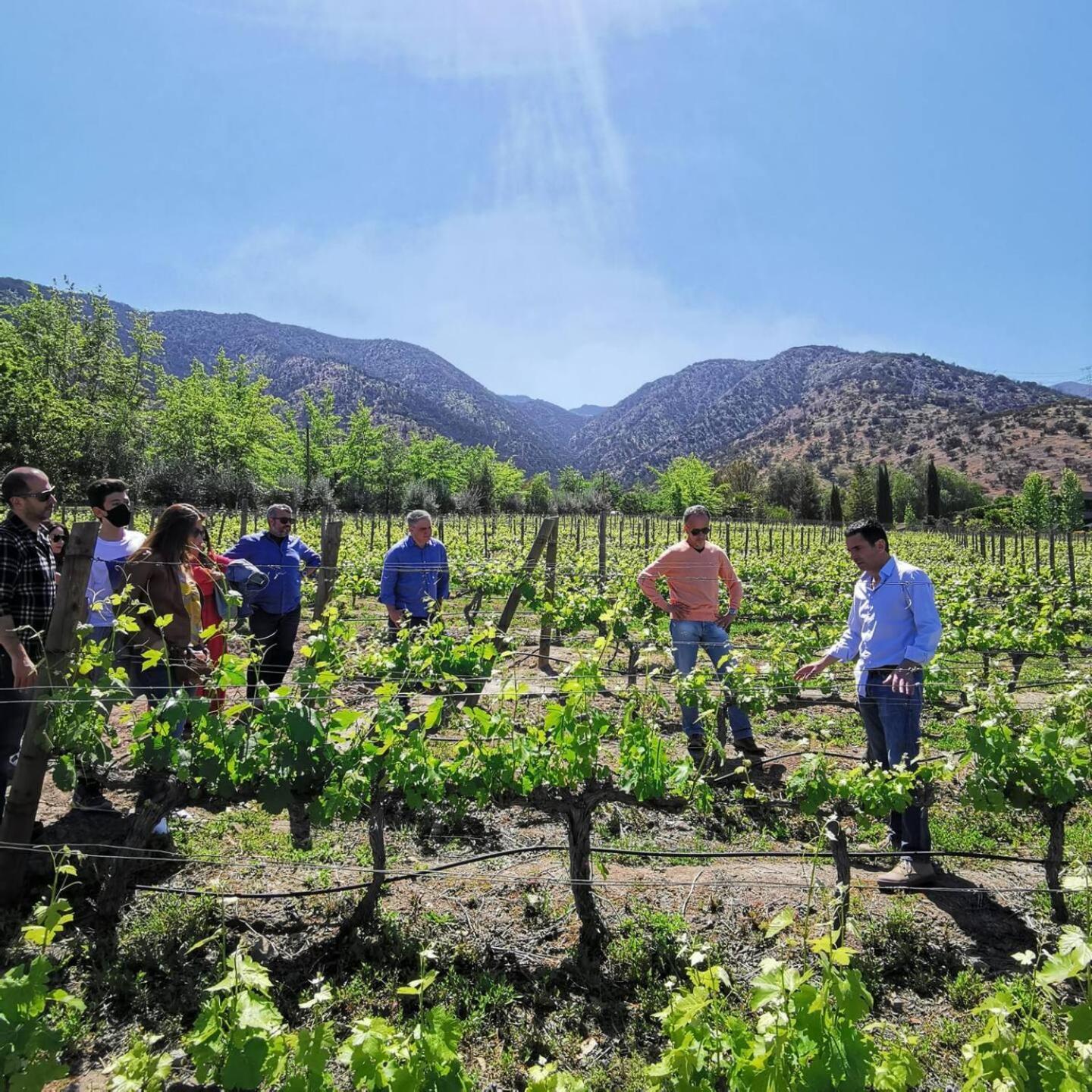Vina Lof - Maipo Valley Bed & Breakfast In Winery Paine Екстер'єр фото