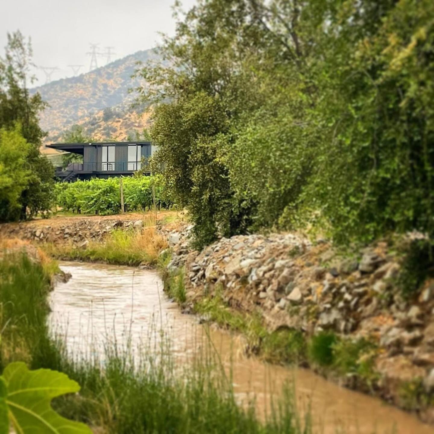 Vina Lof - Maipo Valley Bed & Breakfast In Winery Paine Екстер'єр фото