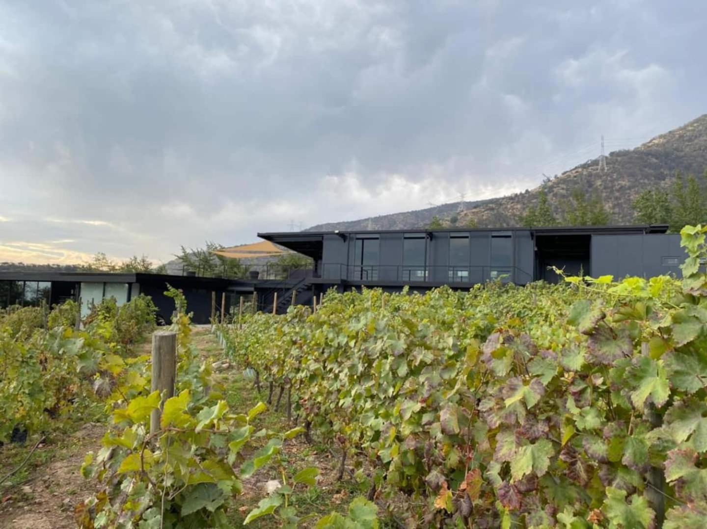 Vina Lof - Maipo Valley Bed & Breakfast In Winery Paine Екстер'єр фото