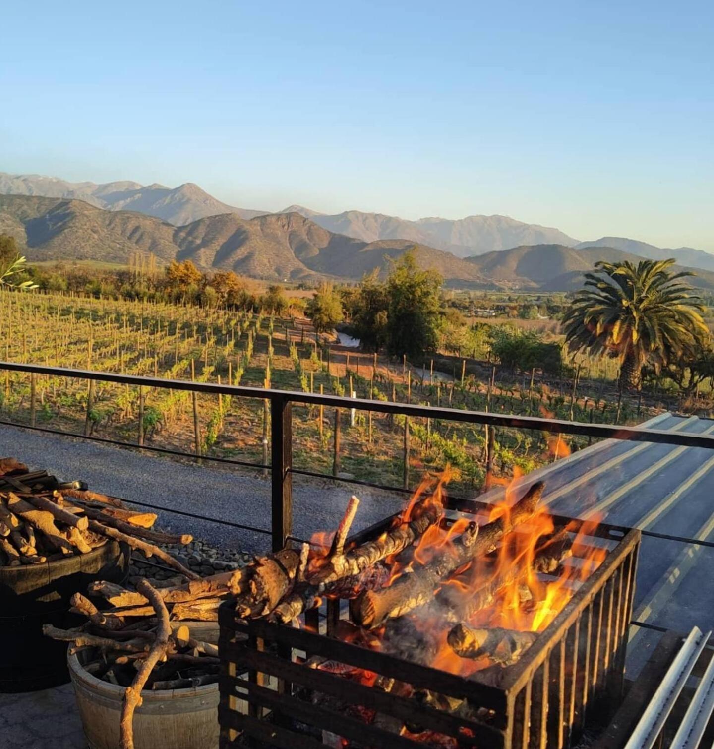 Vina Lof - Maipo Valley Bed & Breakfast In Winery Paine Екстер'єр фото