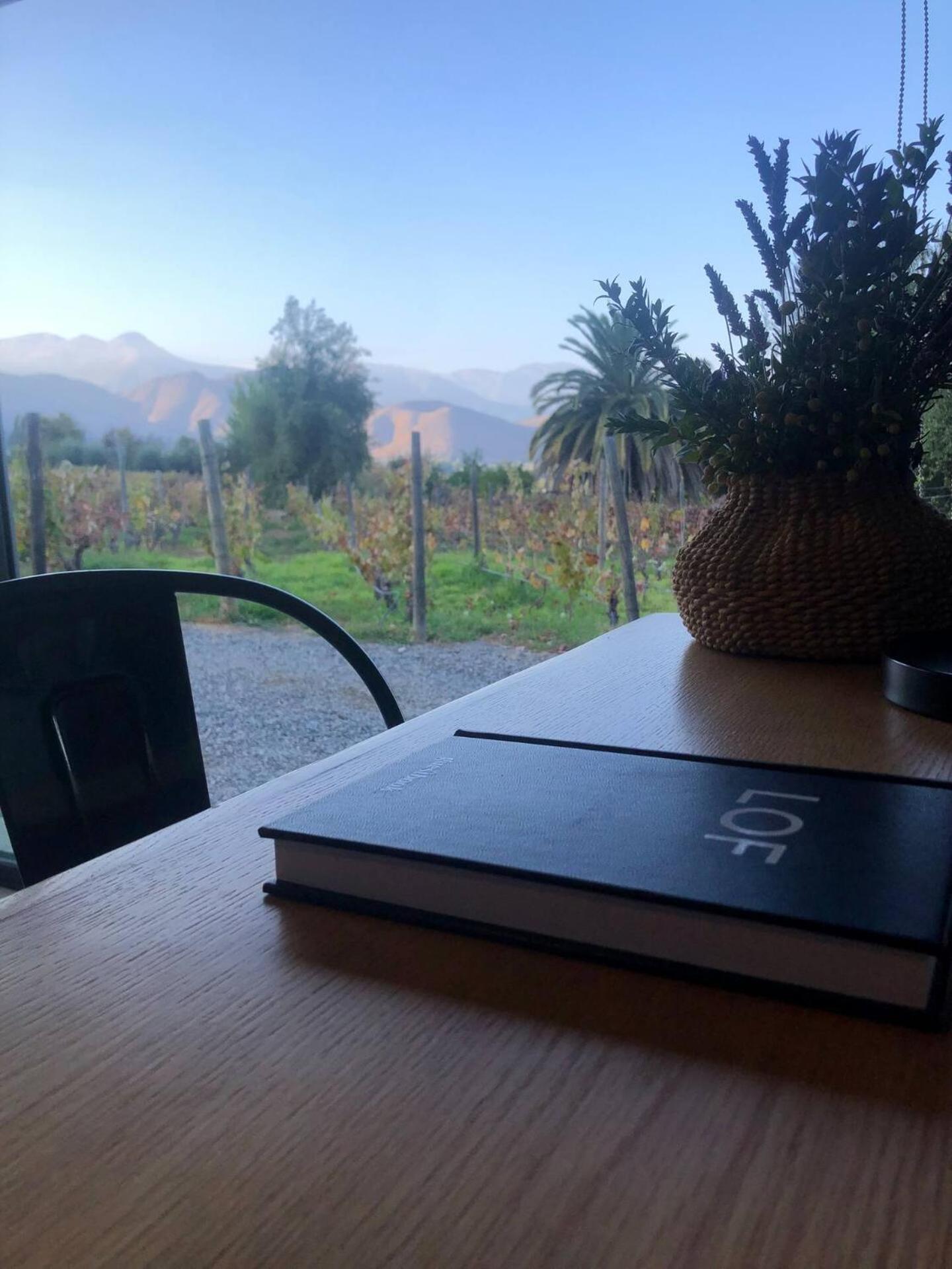 Vina Lof - Maipo Valley Bed & Breakfast In Winery Paine Екстер'єр фото