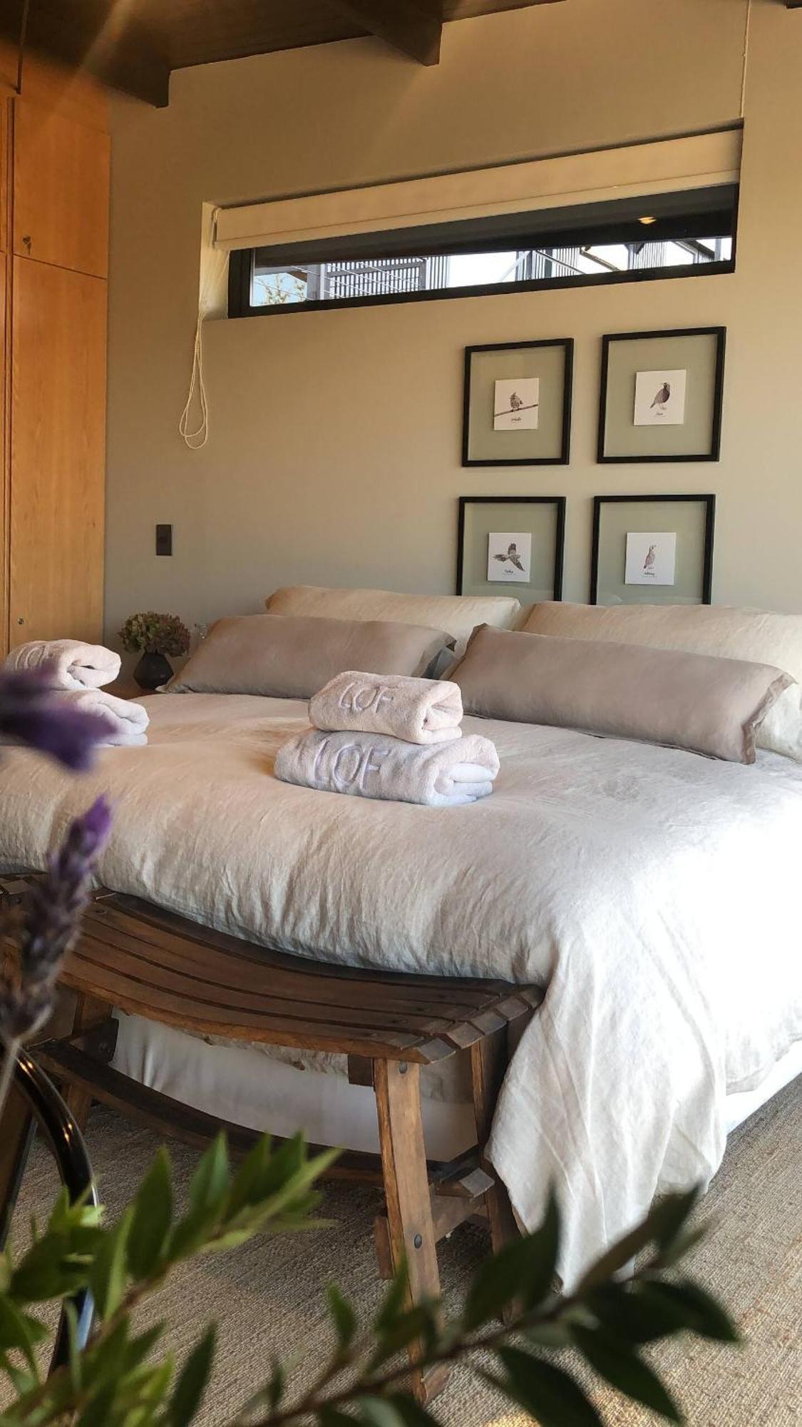 Vina Lof - Maipo Valley Bed & Breakfast In Winery Paine Екстер'єр фото