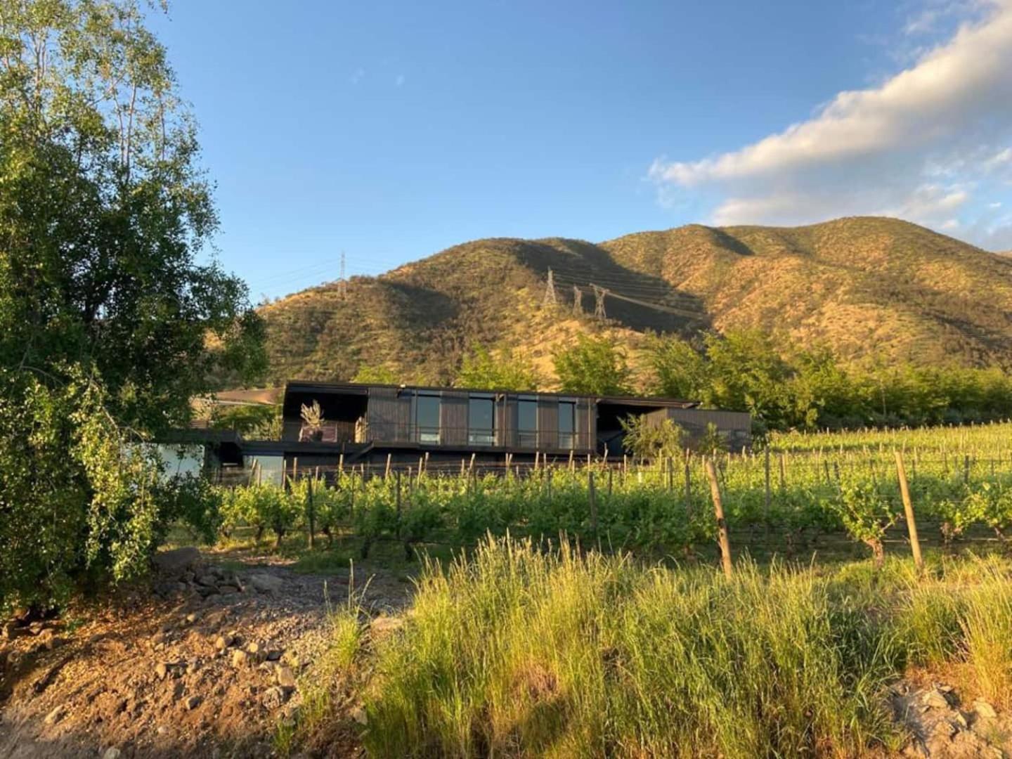 Vina Lof - Maipo Valley Bed & Breakfast In Winery Paine Екстер'єр фото